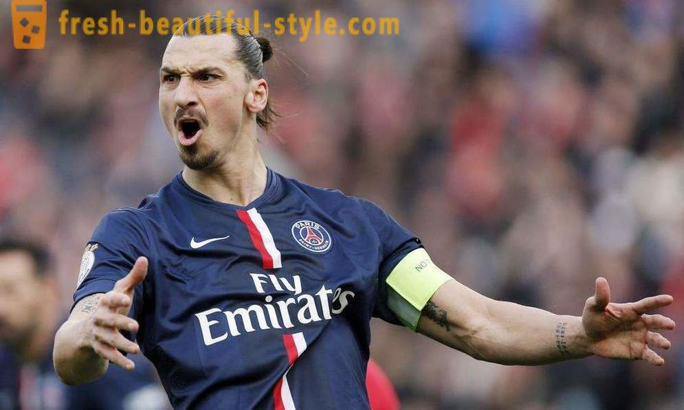 Jalgpallur Zlatan Ibrahimovic: elulugu ja isikliku elu jalgpallur