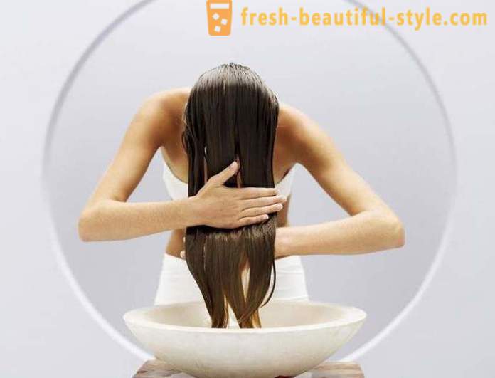 Tõhus šampoon rasustele juustele: ülevaateid, tüübid ja tootjad