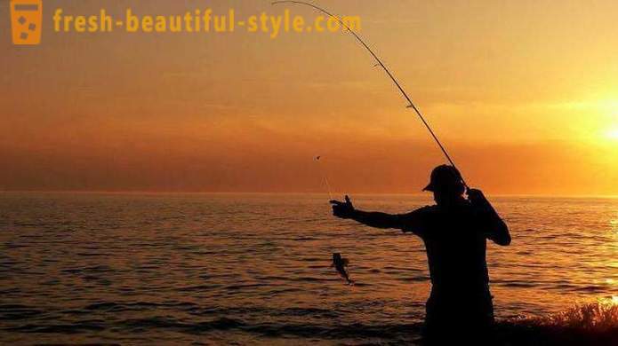 Kalapüük Primorje - kirjeldamatu rõõm