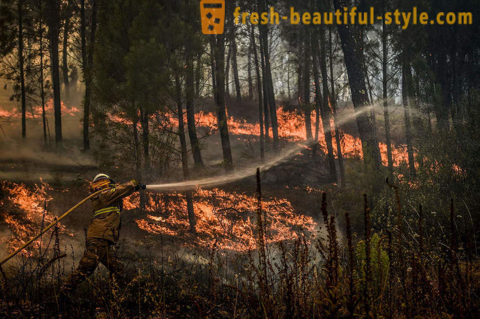 Kuidas kustutada tulekahjusid Portugal