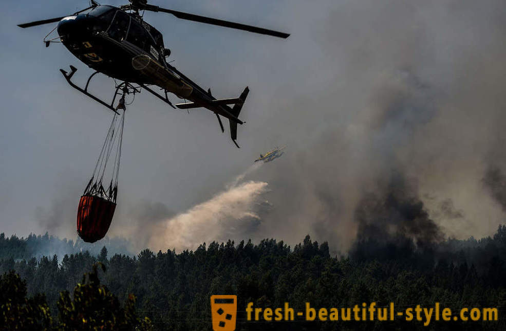 Kuidas kustutada tulekahjusid Portugal