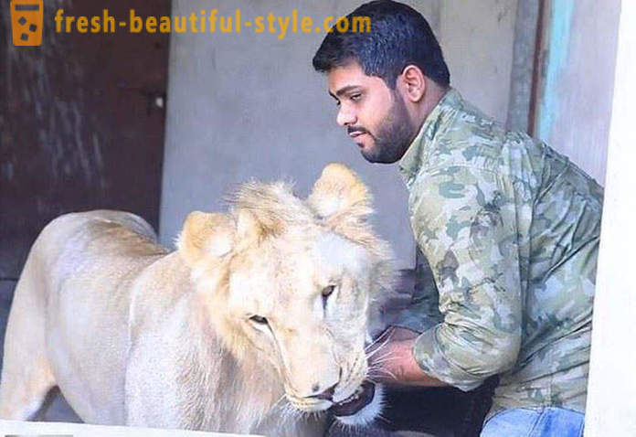 Kaks venda Pakistanist pärit tõi lõvi nimega Simba