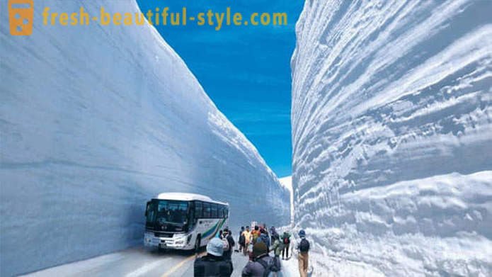 Amazing lumi koridor Jaapan