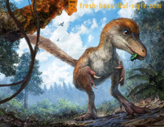 Unikaalne leiud seotud dinosaurused