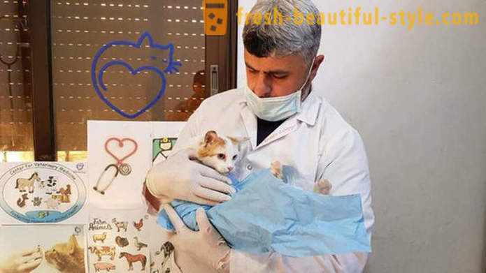 Mees jäi sõjast laastatud Aleppo hoolitsema mahajäetud loomad