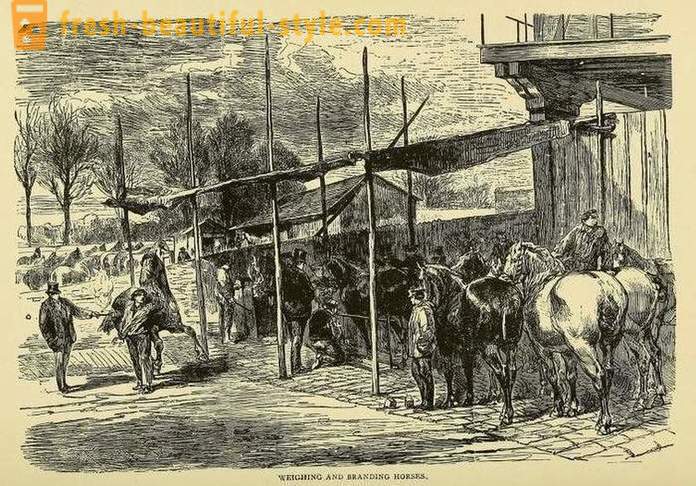 Elanikud elasid Pariisi piiramise ajal linna