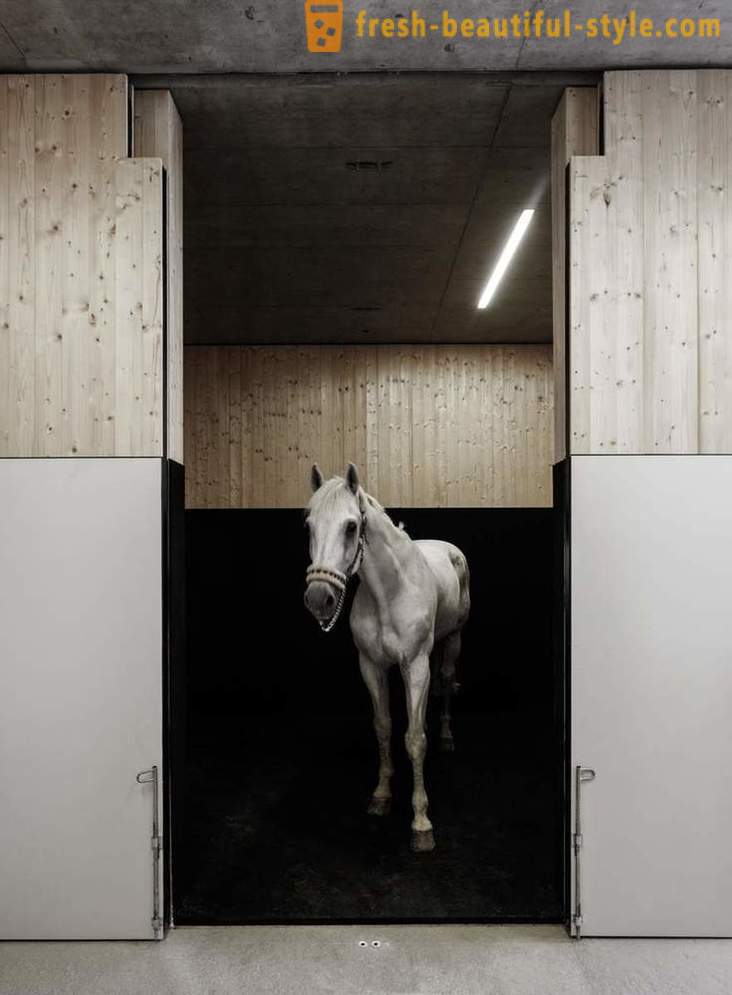 Disain veterinaarkliinikusse hobused Austria