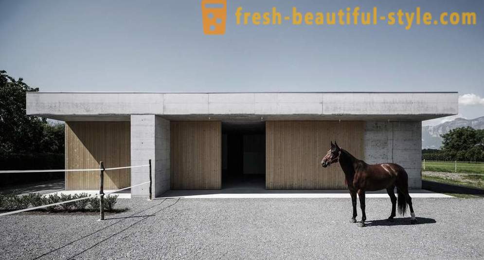 Disain veterinaarkliinikusse hobused Austria