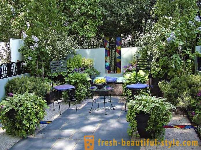 Bright aiakujundus: 18 originaalseid ideid registreerimise aed saidi