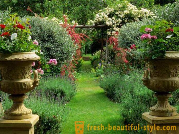 Bright aiakujundus: 18 originaalseid ideid registreerimise aed saidi