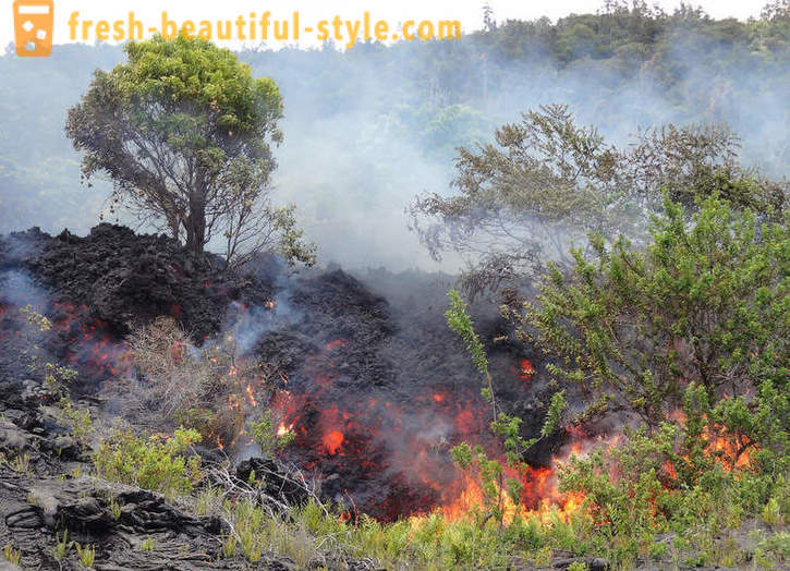 Vulkaaniline lava vood Kilauea Hawaii