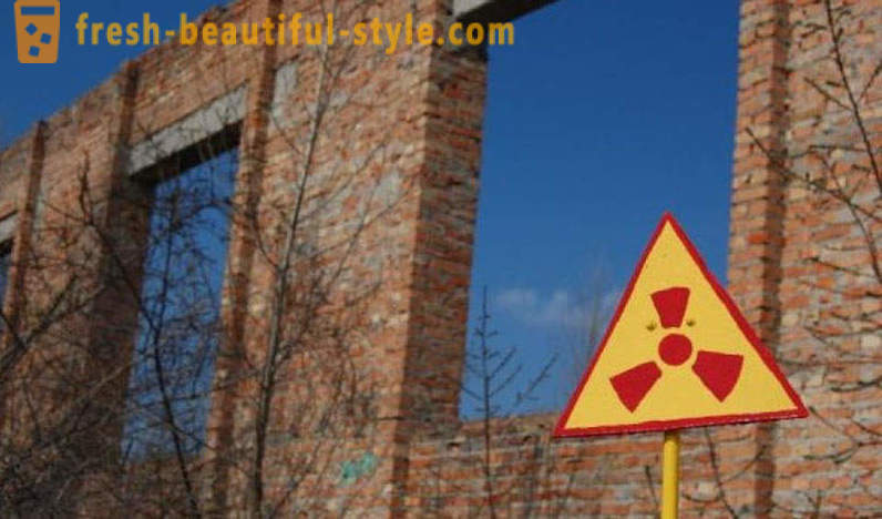 Tuuma ostukorvi: mis kasvab Tšernobõli