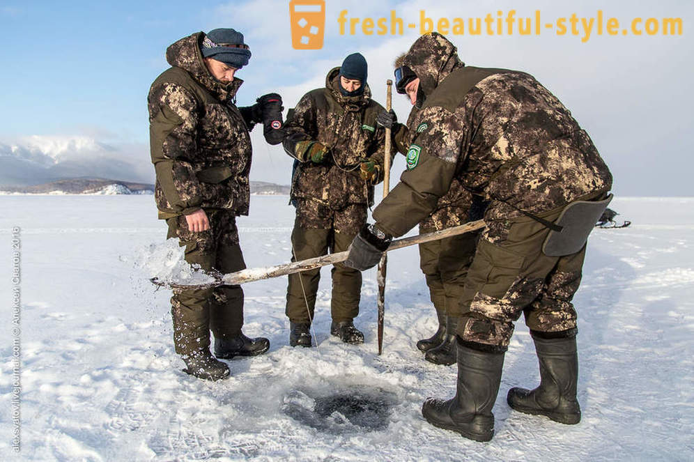 Kuidas rybinspektory kohta Baikali