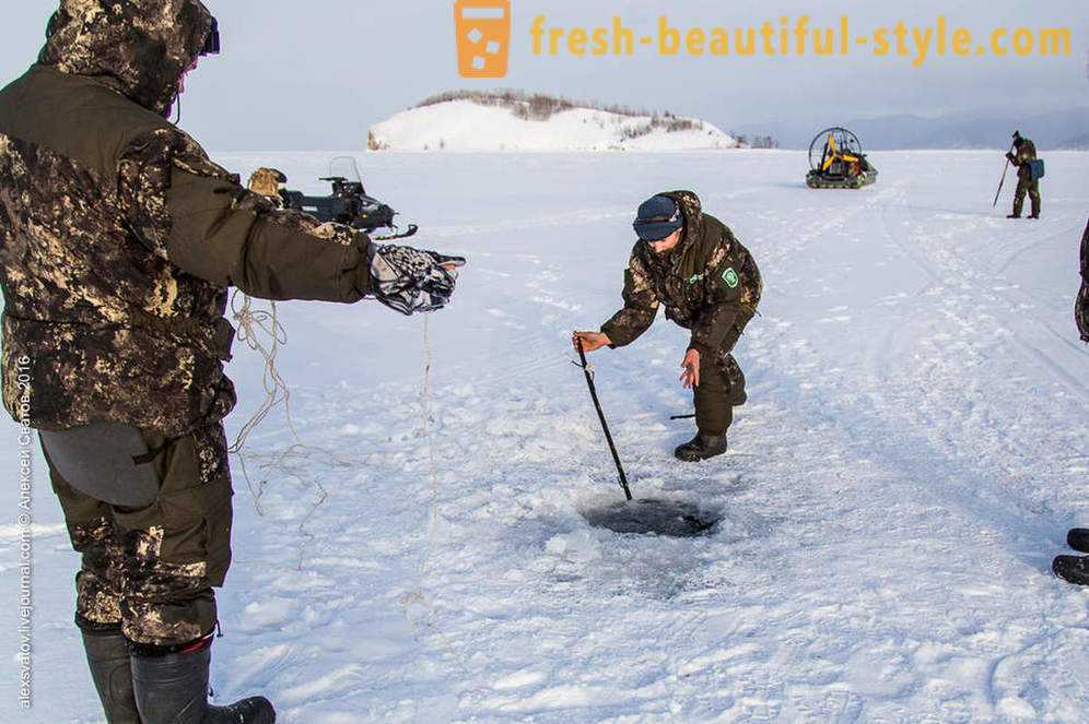 Kuidas rybinspektory kohta Baikali