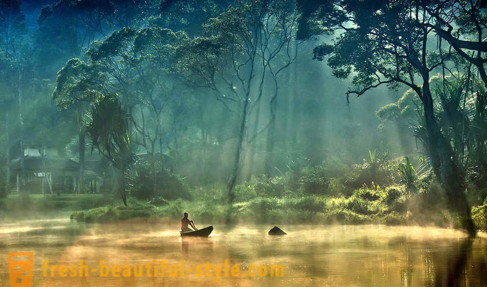 Amazon - looduslik ime maailma