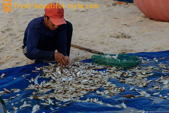 Kuidas on Vietnami kalurid