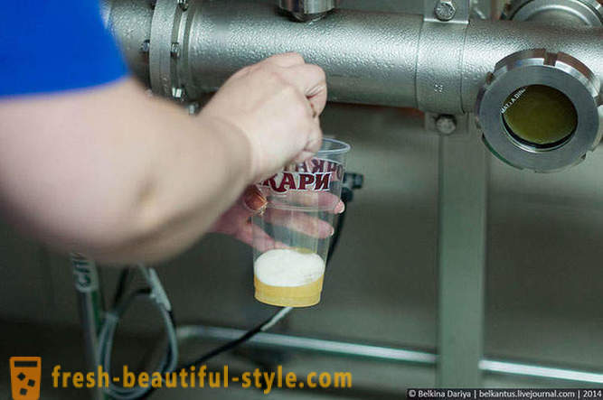 Kuidas teha õlut Altai Territory