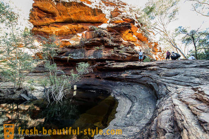 Jalutage läbi Kings Canyon Austraalia