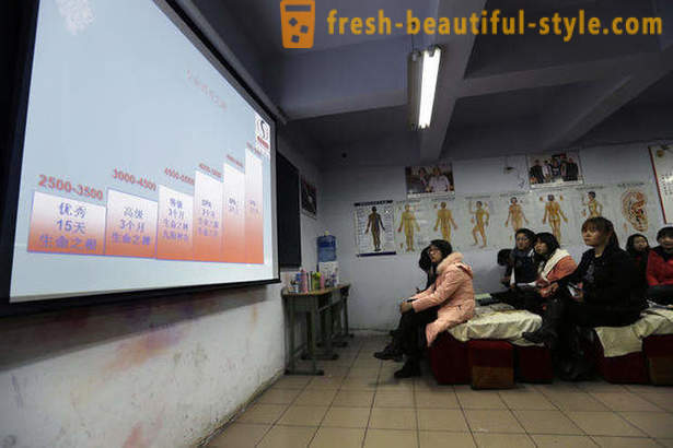 Kuidas on kursused massaaž Hiina