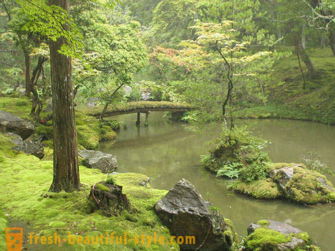 Moss aed Jaapan