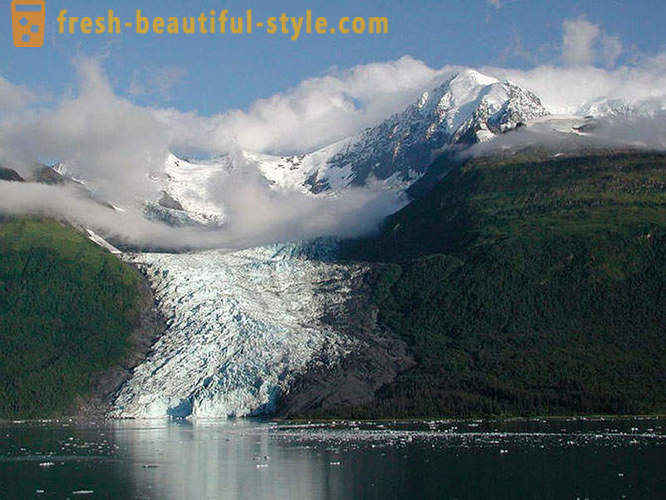 Glacier Bay National Park Alaska