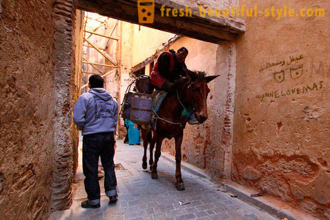 Fez - vanim Imperial linnad Maroko