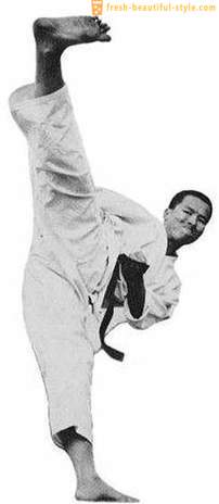 Karate: tehnikaid ja nende nimed