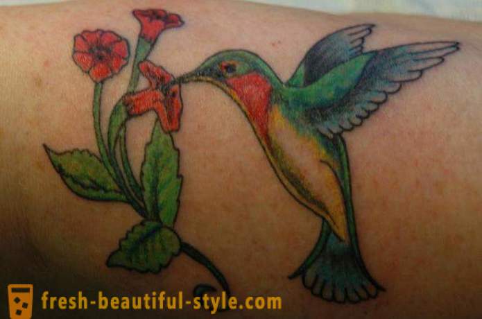 Hummingbird tätoveering - sümbol elujõu ja energia