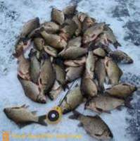 Põnev kalapüügi karpkala talvel